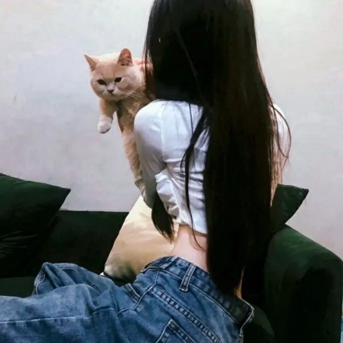 女人夜生活封面